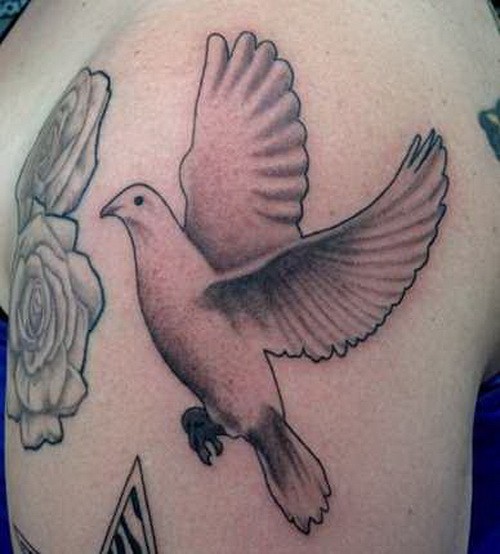 dove-tattoos