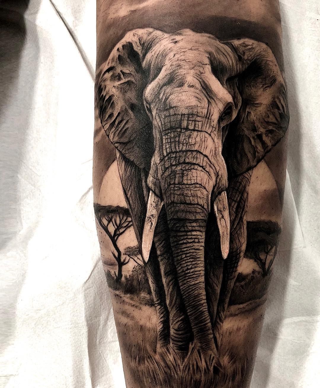 elephant tattoo 