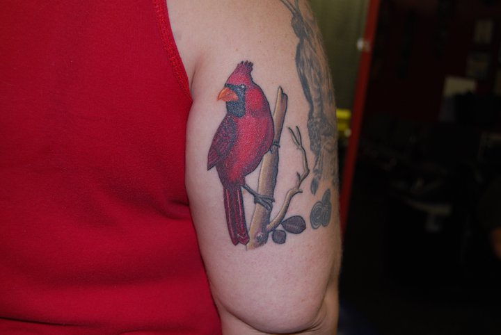 Cardinal Tattoo Ideas.