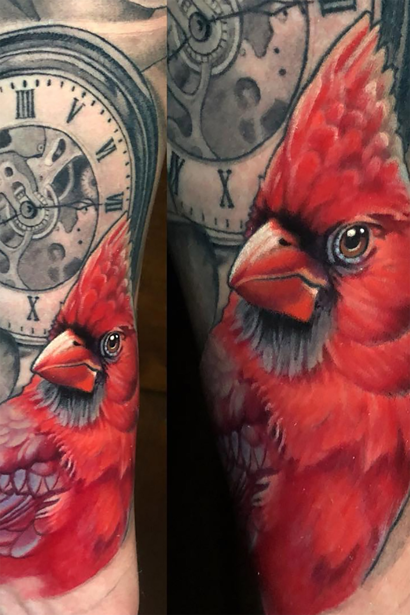 Fantastic cardinal Tattoo Ideas for Men & Women Body Tattoo Art