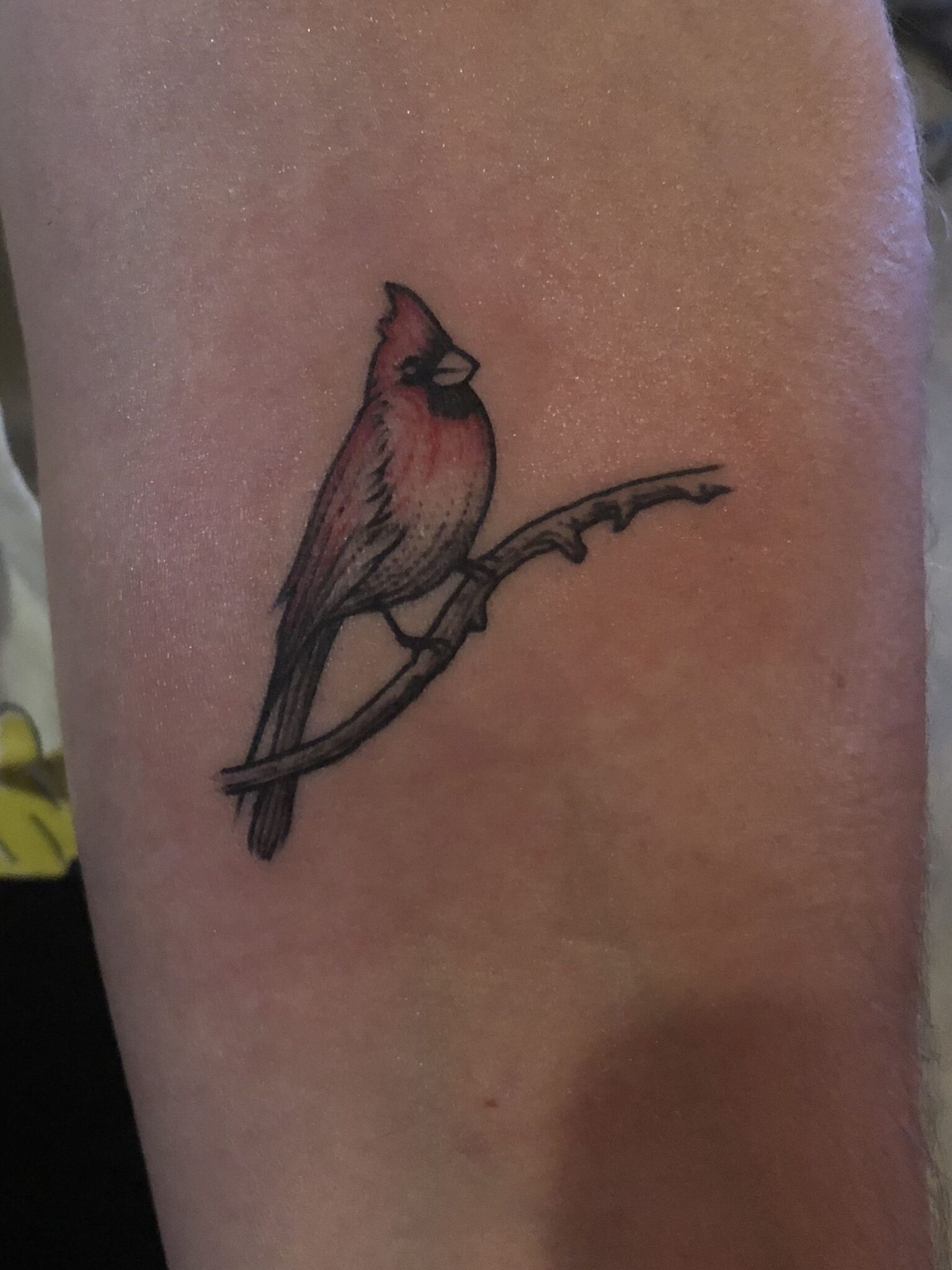 cardinal-tattoos.